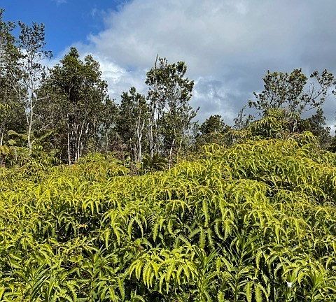 3rd image of 11-3948 Nahelenani St Lot 53-B