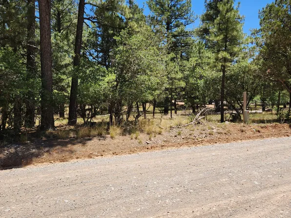 469 Dixwood Dr, Timberon, NM 88350