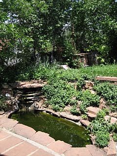 fish pond