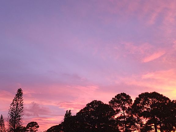 View walking in Oak Springs