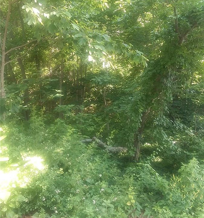 1st image of Beach Ln