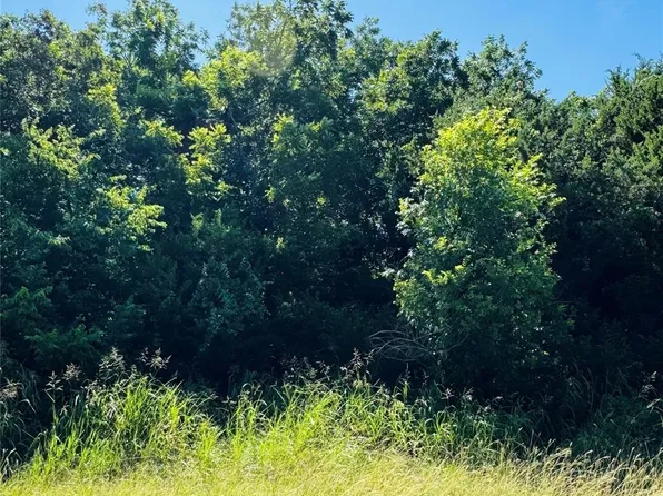 1277 Paint Brush Ct, Whitney, TX 76692