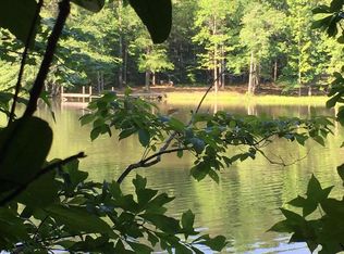 3595 Little Steel Bridge Rd, Eclectic, AL 36024