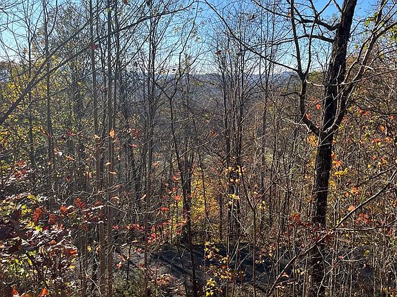 3rd image of 41-42 43 Ridges Ln