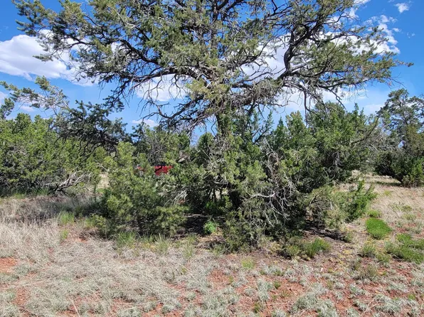 2152 S Hollyhock Ln, Williams, AZ 86046