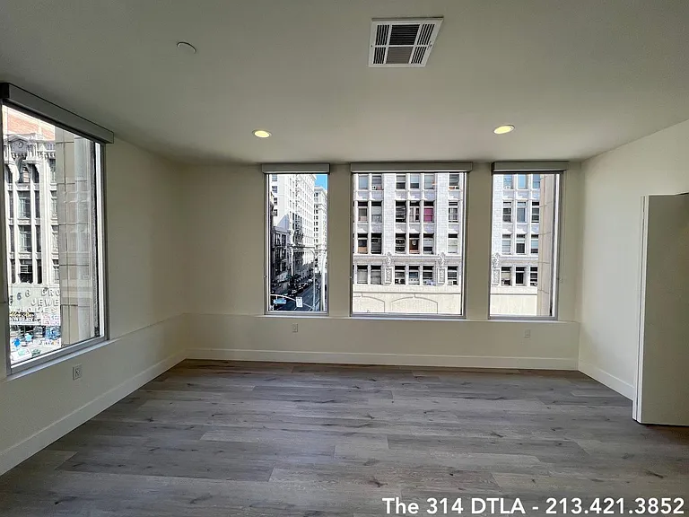 314 W 6th St #305 — Photo 6