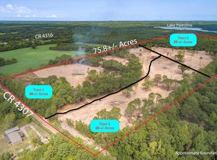 TRACT 3 County Road 4307, Larue, TX 75770