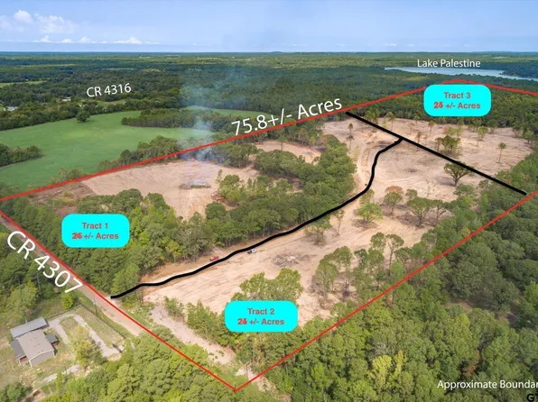 TRACT 3 County Road 4307, Larue, TX 75770