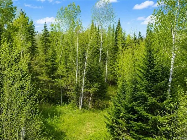 LOT Newburg Rd, Northampton, NB E7N 1T1