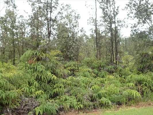 1st image of S Leilani Blvd Lot 61