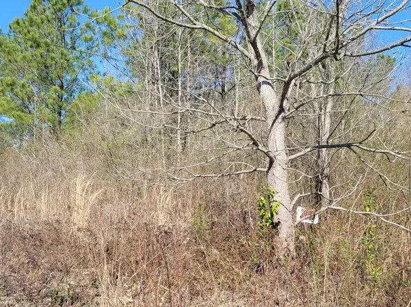 9170 County Line Road, Rocky Mount, NC 27803