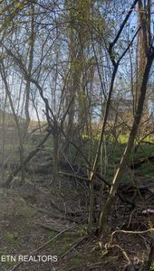 0 N Patton Ave, Rockwood, TN, 37854