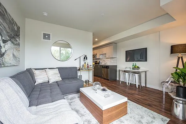 Open 1 Bedroom Living Room