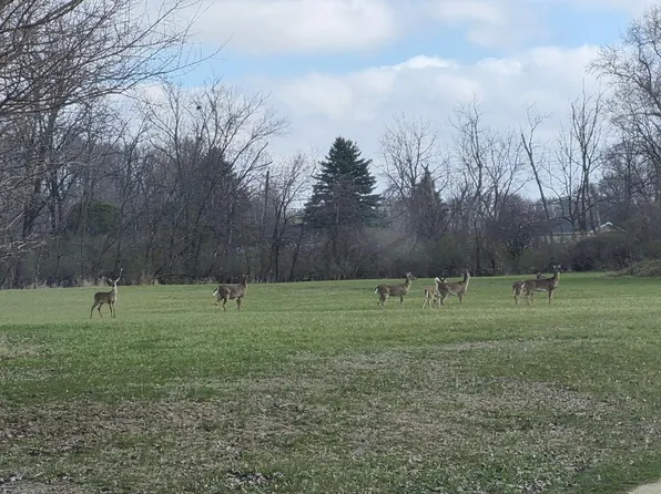 1313 3rd St NE, Oelwein, IA 50662