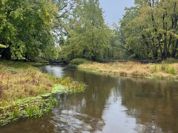 Mahoney Rd, Bruce, WI 54819
