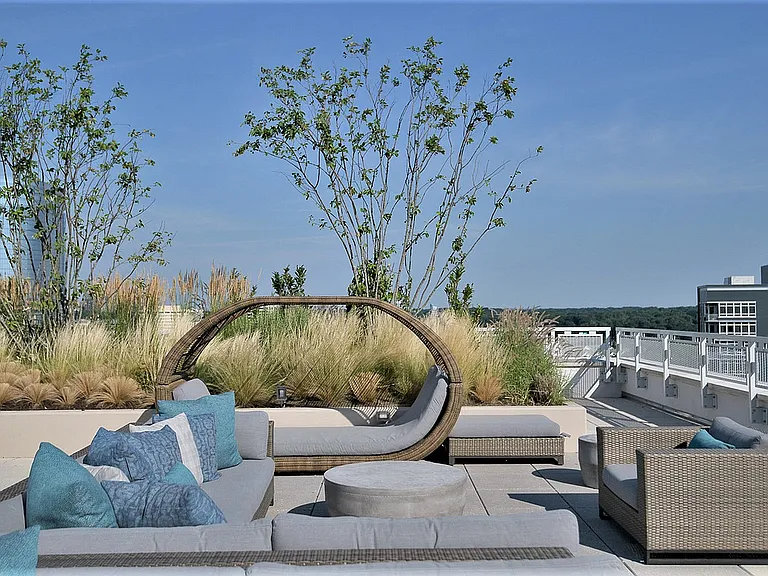 Outdoor rooftop gardens