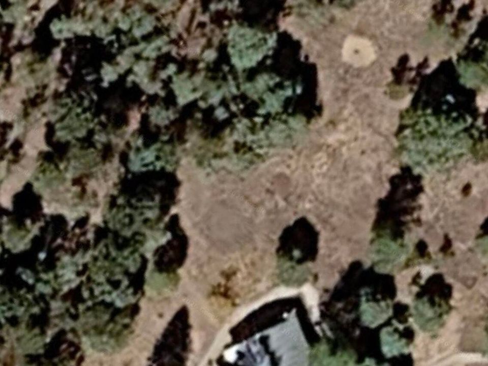 1st image of 31 Sparrow Ln