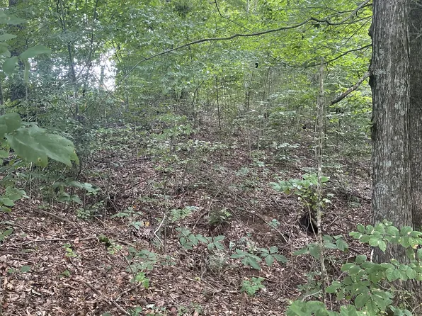 0 State Highway 52 Bypass W 6 Lot W-7, Lafayette, TN 37083