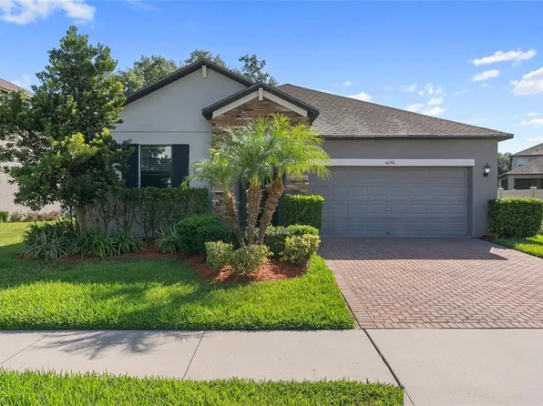 4690 Coachford Dr, Wesley Chapel, FL 33543