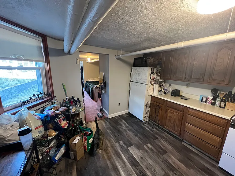 29 Cameron Ave #B — Photo 16