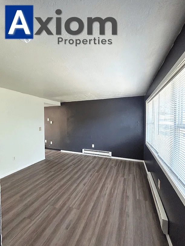 2 bed, 700 sqft, $1,100 — Photo 3