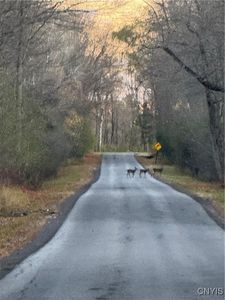 0 County Route 38 Lot 26, Norfolk, NY, 13667