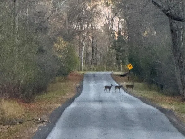 0 County Route 38 Lot 26, Norfolk, NY 13667