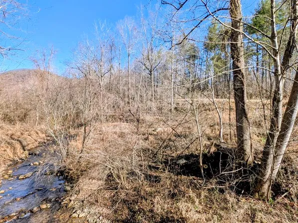 Simon Ln, Ararat, VA 24053