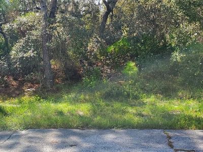 Marlin Dr #5, Kissimmee, FL, 34759