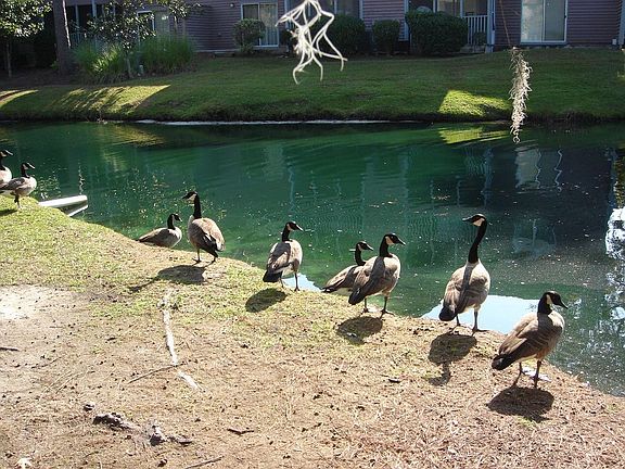 A few of your Neighbors