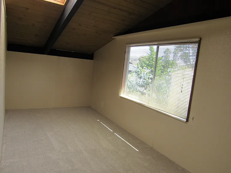 481 Hillview St — Photo 8