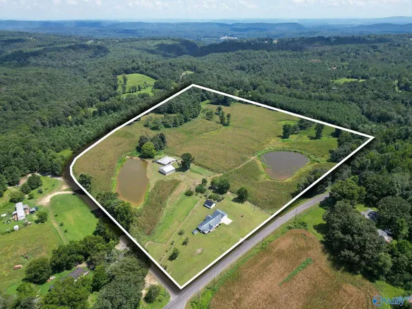 2828 Egypt Rd, Altoona, AL 35952