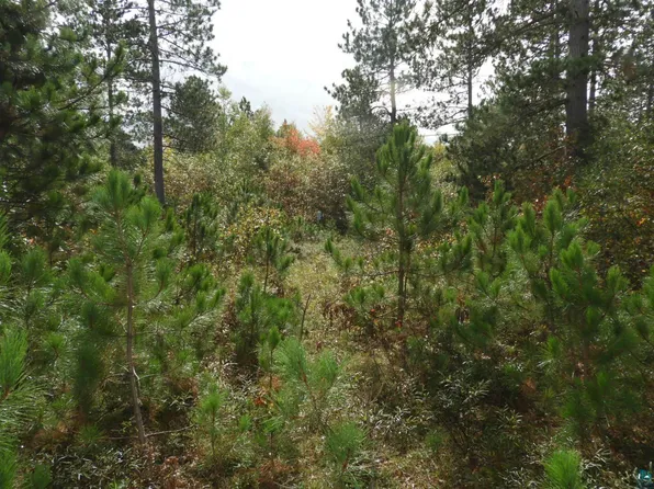 1765 E Wilderness Ct, Barnes, WI 54873