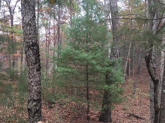 4th image of Deer Trot Trl