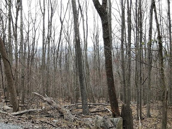 3rd image of Wren Ln