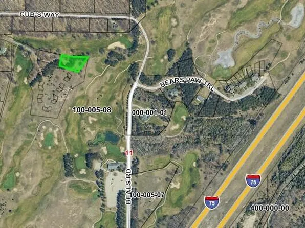 LOT 31 Cubs Way, Vanderbilt, MI 49795
