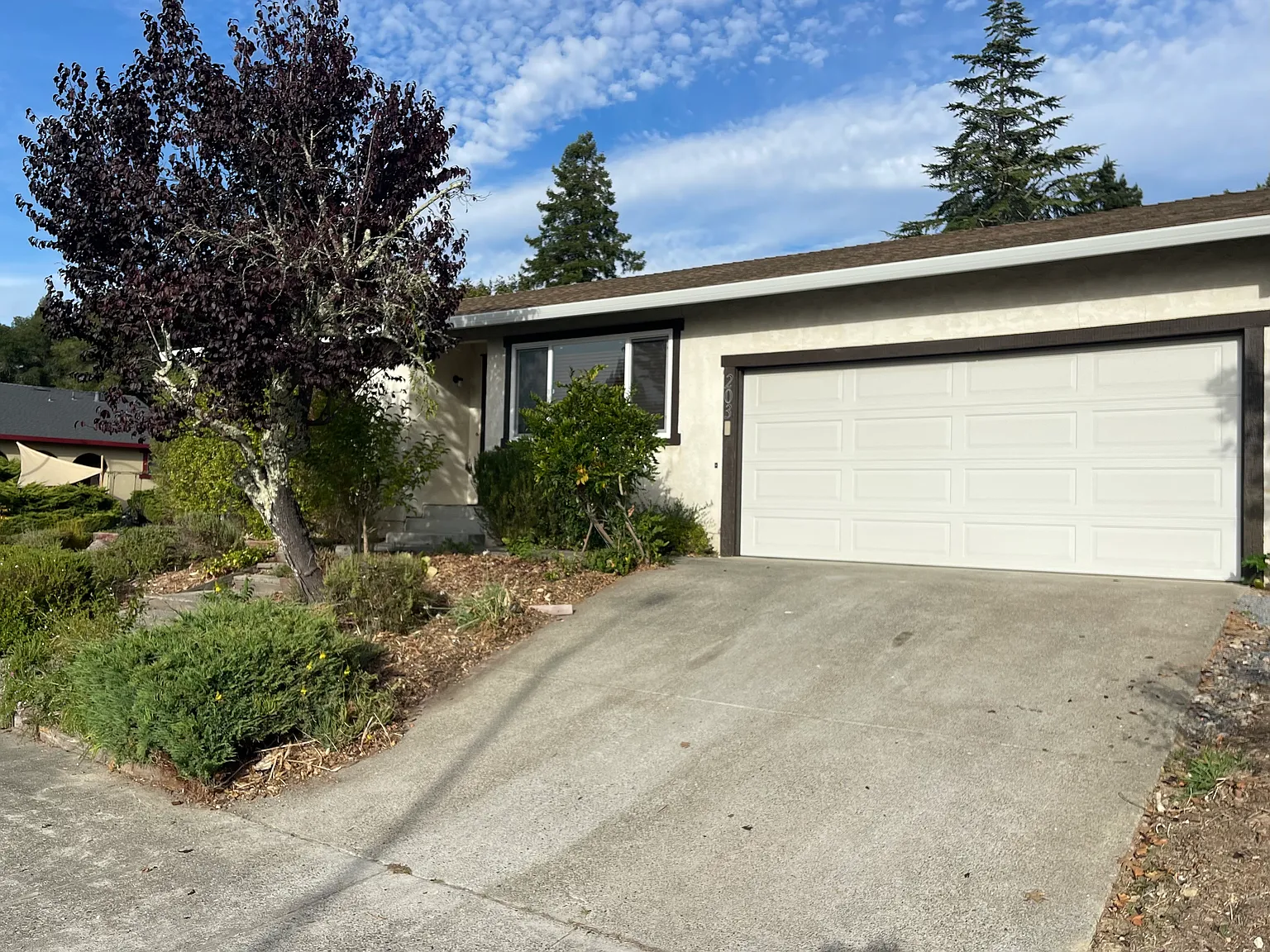 4 bed, 1600 sqft, $4,500 — Photo 3