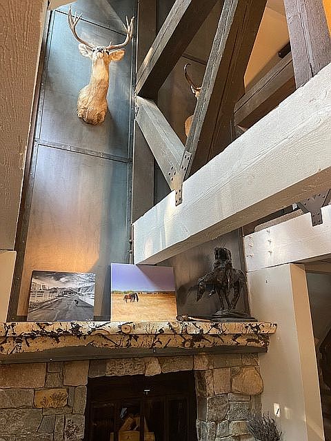 Steel Aspen Fossil Rock
