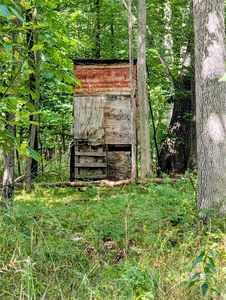 0 S Maywood Rd, Ashley, MI, 48806