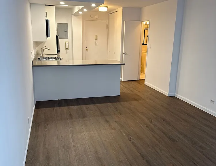 330 E 46th St #10T — Photo 5