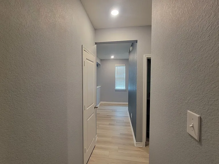 610 Eucharis — Photo 12