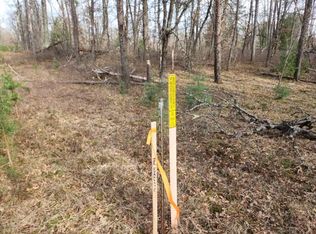 W 56th St, Baldwin, MI 49304