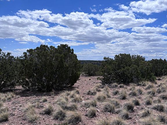 4th image of 71 Gila Drive #1