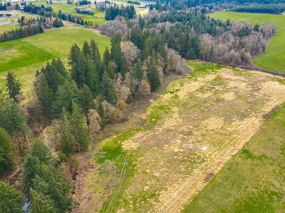 0 NE Carty Rd, Ridgefield, WA 98642 MLS 21696069 Zillow