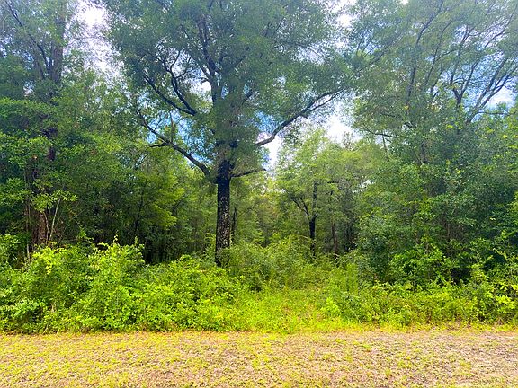 2nd image of 229 Seven Springs Rd