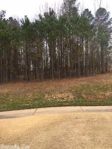 49 Elcano Dr, Hot Springs Village, AR, 71909