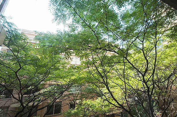 Sold by Atlas Real Estate New York | media 3