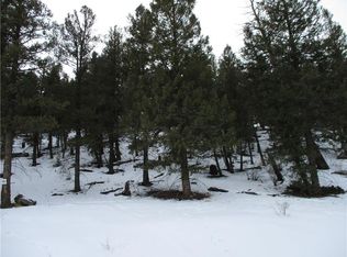 162 Oxford Dr, Hartsel, CO 80449