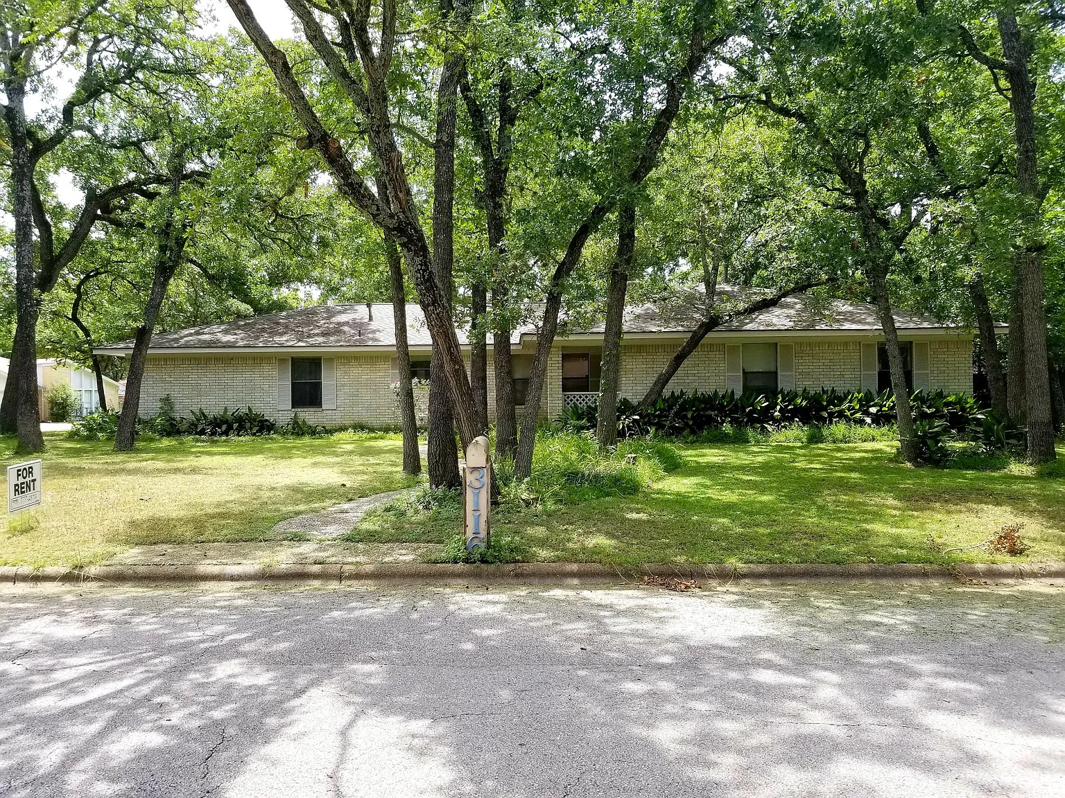 3116 Hummingbird Cir — Photo 1