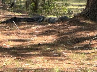 S Quitman N Us #221, Greenville, FL 32331